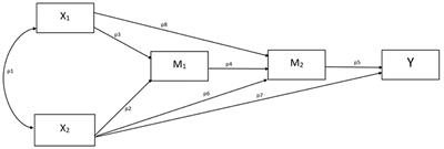 The indirect impact of the technostress subfactors on the satisfaction and desire to work from home